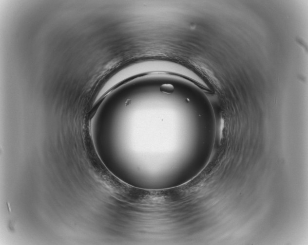 X0000094360260200711021515