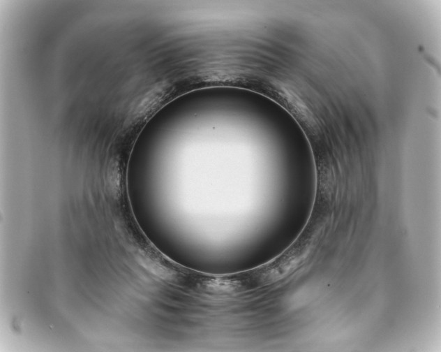 X0000094360261200711021515