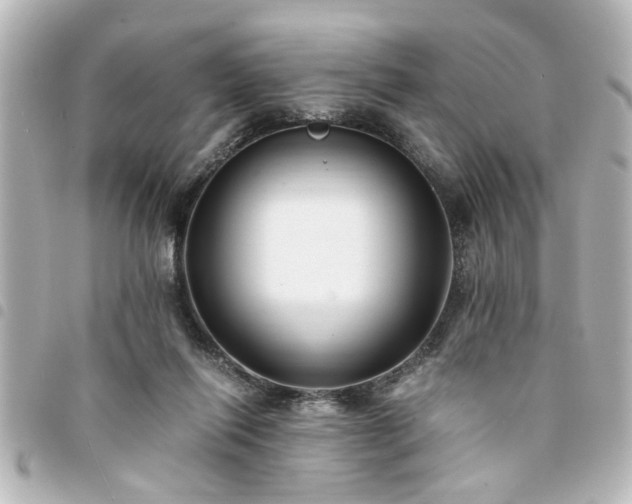 X0000094360262200711021516