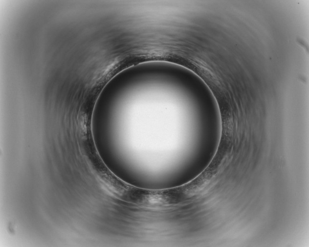 X0000094360264200711021516
