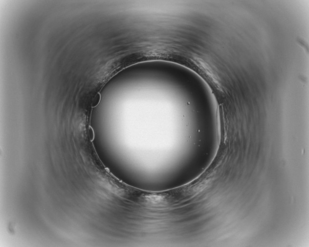 X0000094360265200711021516
