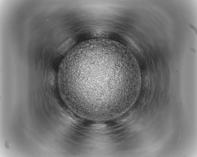 X0000094360266200711021516