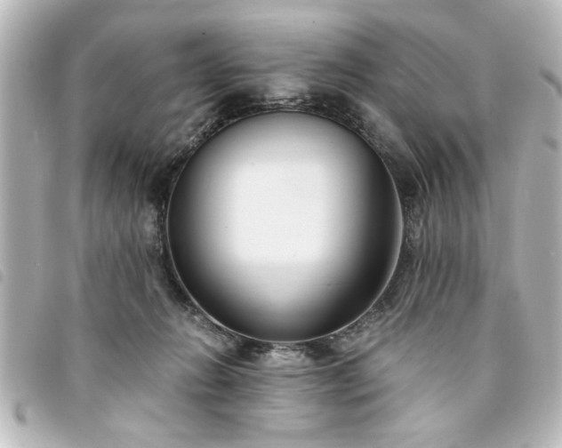 X0000094360270200711021516