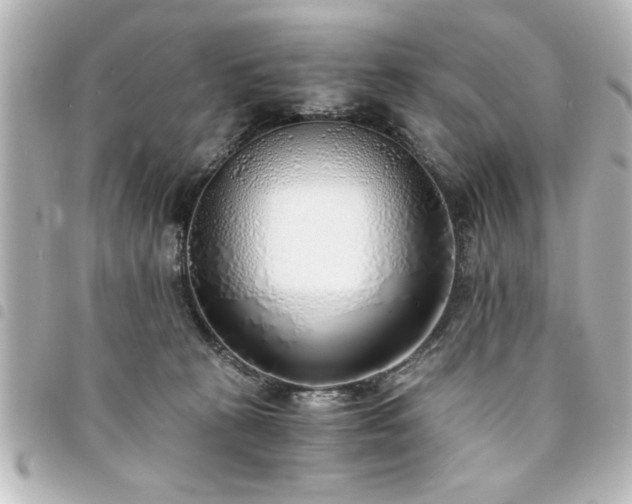 X0000094360273200711021516