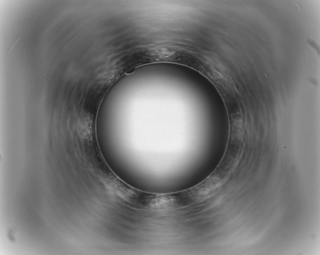 X0000094360274200711021516