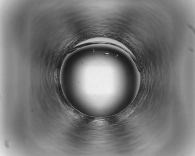 X0000094360280200711021516