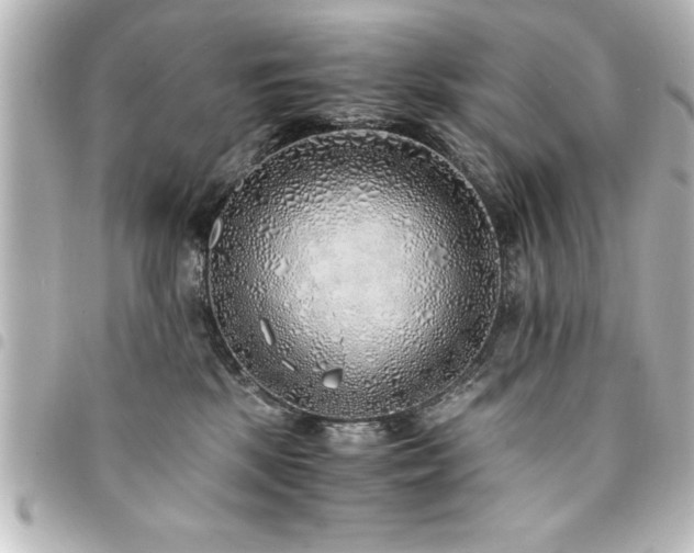 X0000094360281200711021516