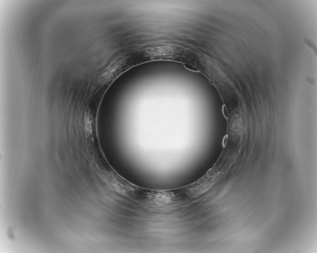 X0000094360282200711021516