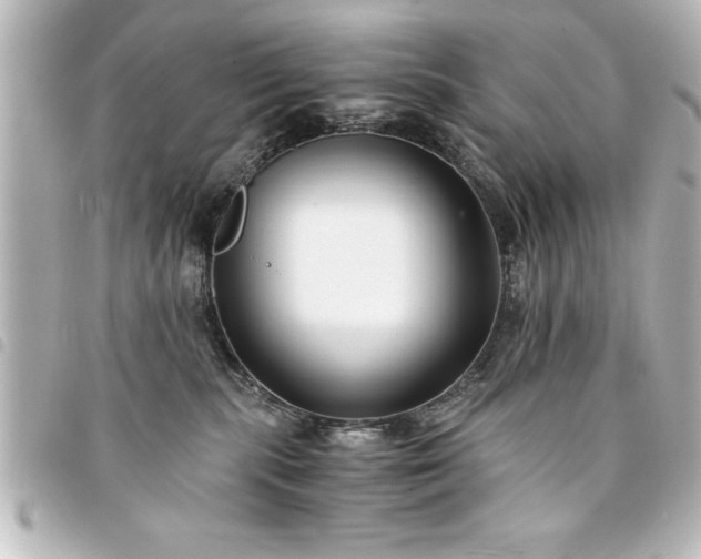X0000094360283200711021516