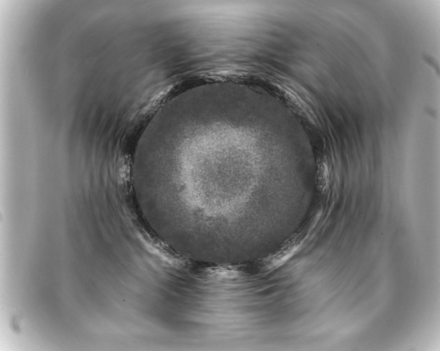 X0000094360284200711021516