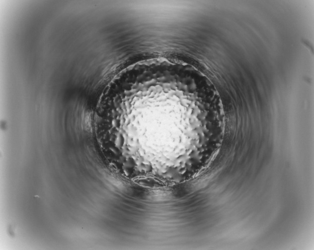 X0000094360286200711021516