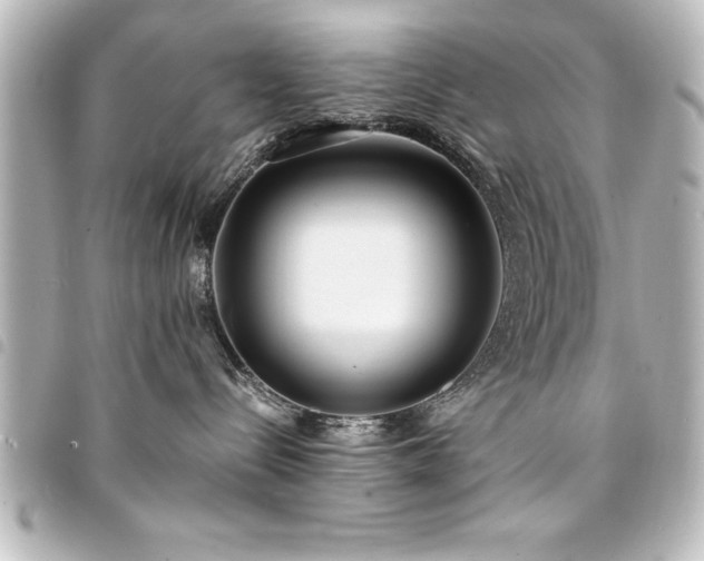 X0000094360288200711021516