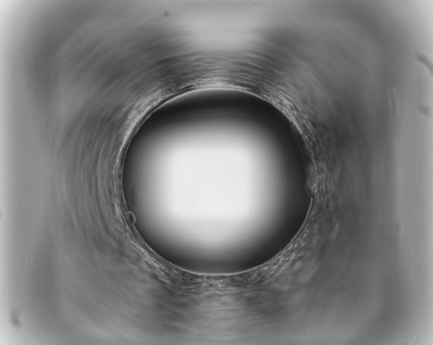 X0000094360289200711021515