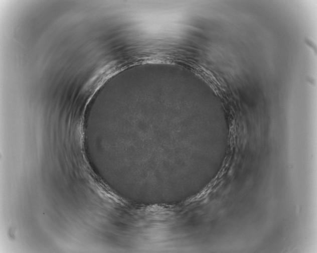 X0000094360290200711021515