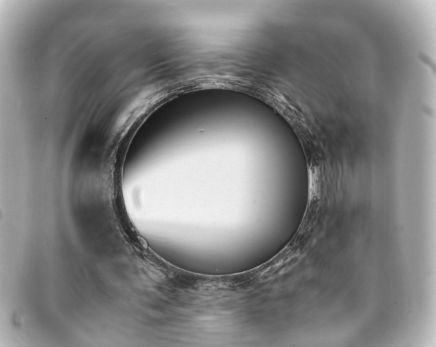 X0000094360291200711021515