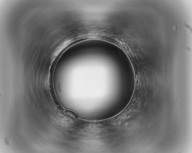 X0000094360292200711021515