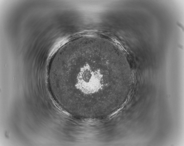 X0000094360293200711021515