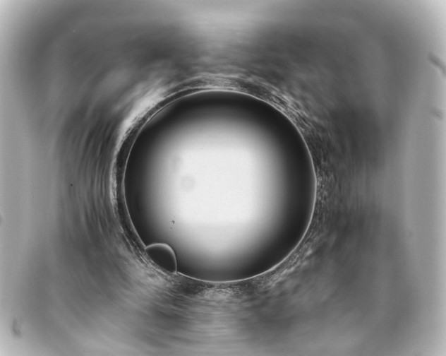 X0000094360294200711021515