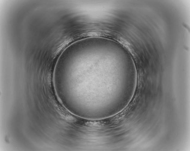 X0000094360297200711021515