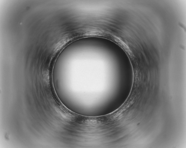 X0000094360298200711021515