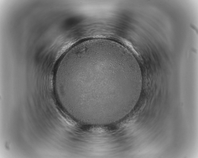 X0000094360299200711021515
