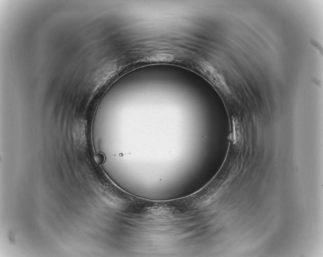 X0000094360300200711021515