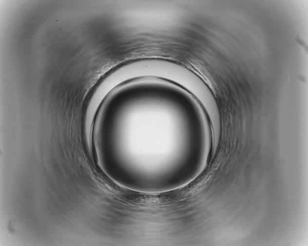 X0000094360301200711021515
