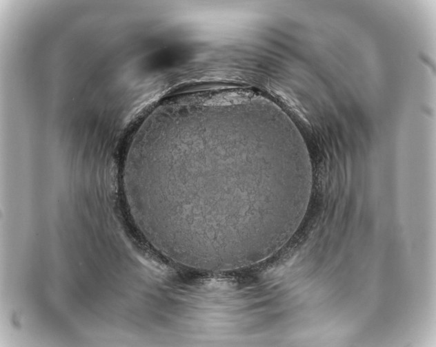 X0000094360303200711021515