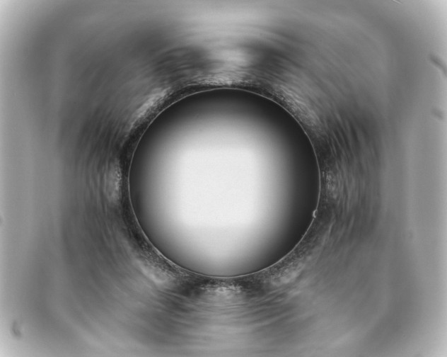 X0000094360304200711021515