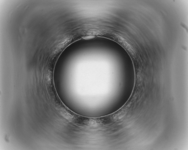 X0000094360305200711021515