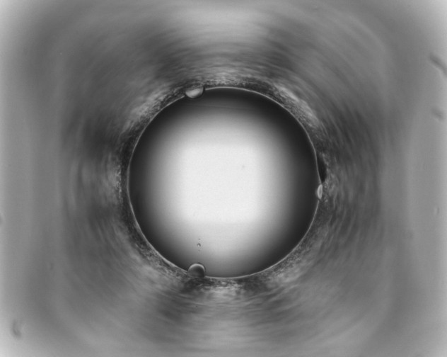 X0000094360306200711021515