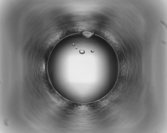 X0000094360310200711021515