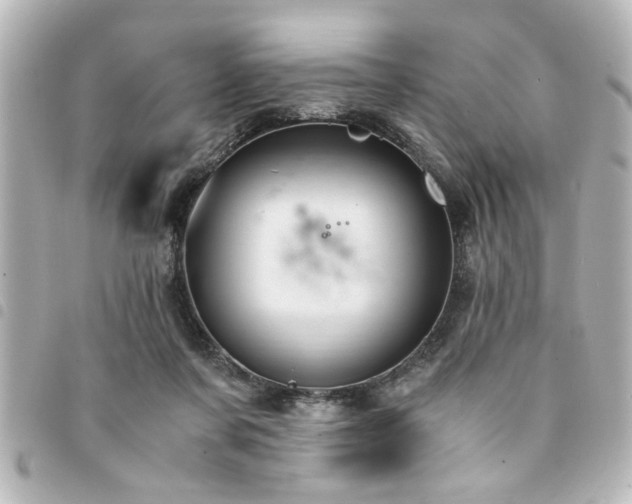 X0000094360311200711021515