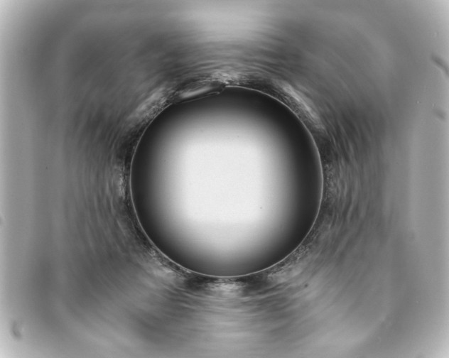 X0000094360313200711021515