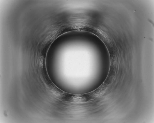 X0000094360315200711021515