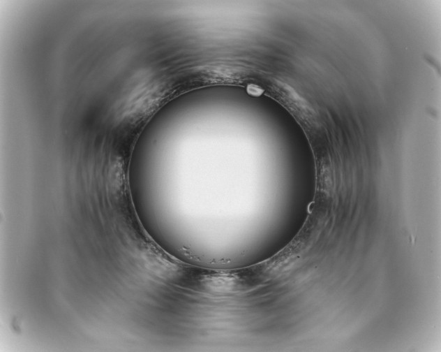 X0000094360318200711021515