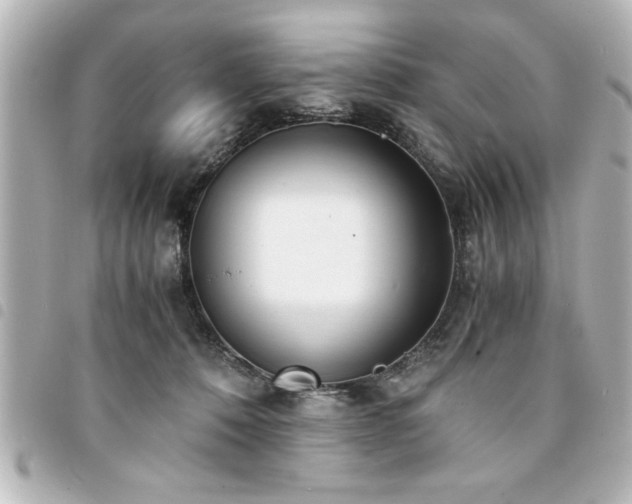 X0000094360320200711021515