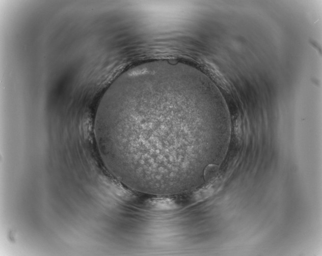 X0000094360322200711021515