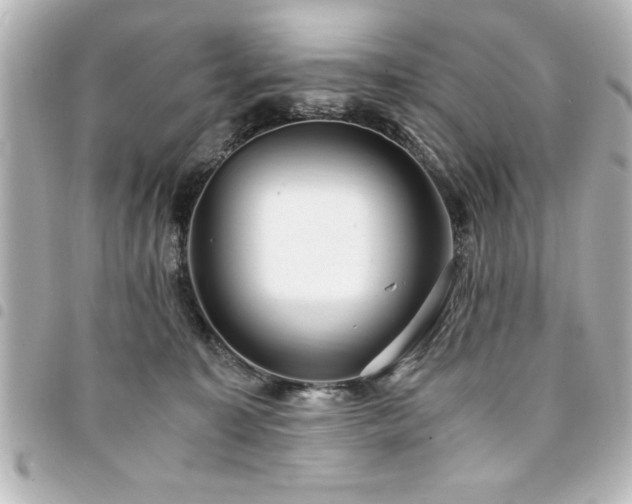 X0000094360323200711021515