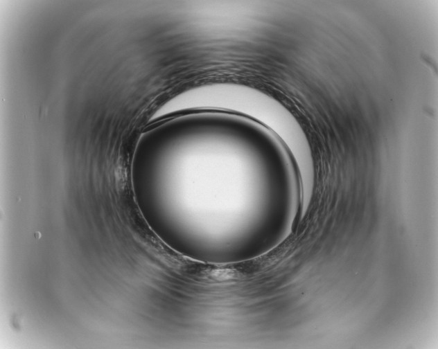 X0000094360324200711021515