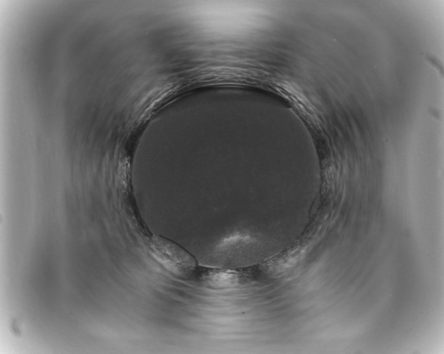 X0000094360325200711021515