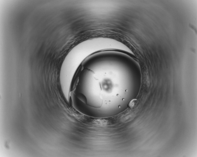 X0000094360328200711021515