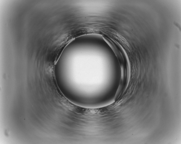 X0000094360329200711021515