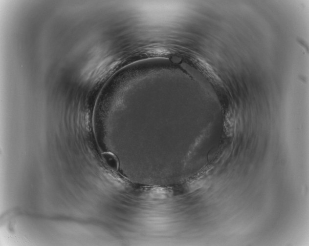 X0000094360330200711021515