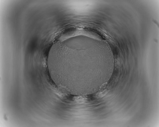 X0000094360331200711021515