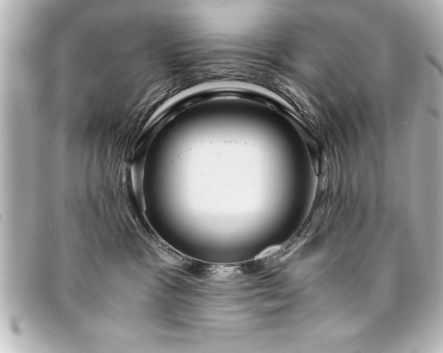X0000094360333200711021514