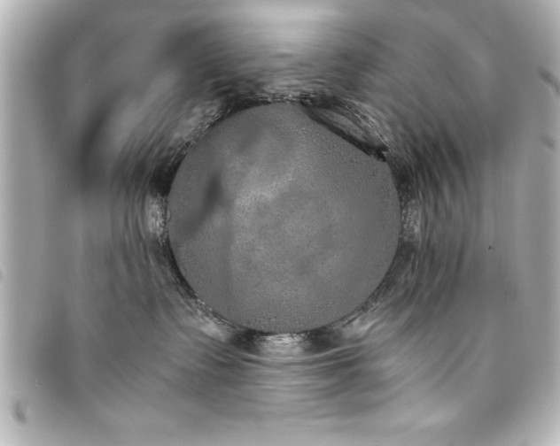 X0000094360335200711021514