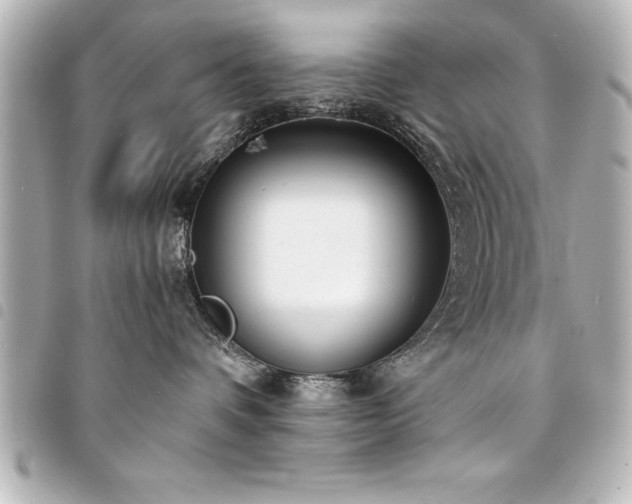 X0000094360336200711021514