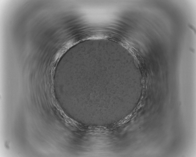 X0000094360337200711021514
