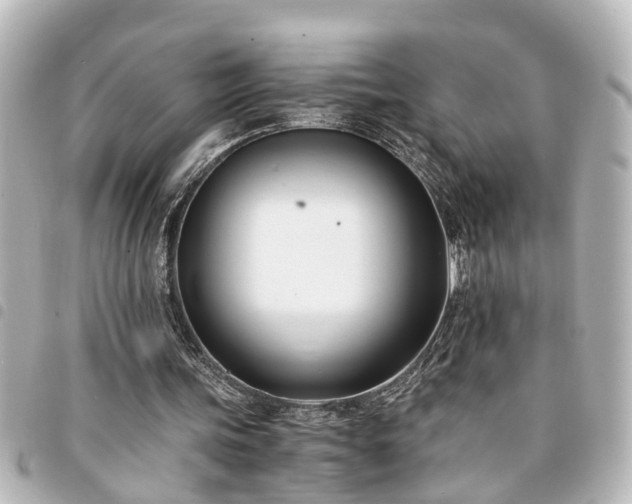 X0000094360339200711021514